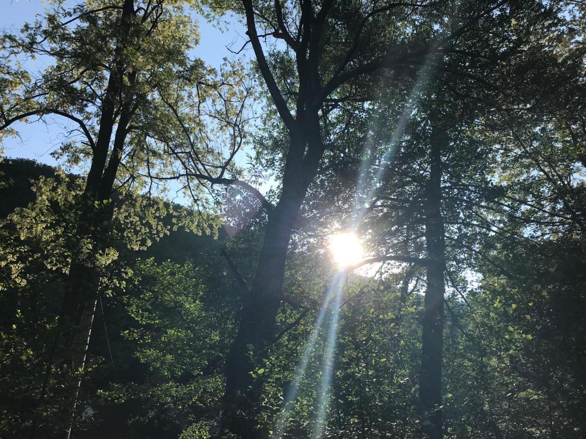 Pensiunea Valea Tonii Strungari Exteriér fotografie