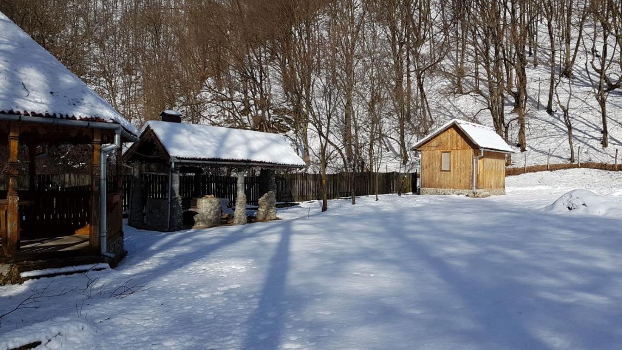 Pensiunea Valea Tonii Strungari Exteriér fotografie