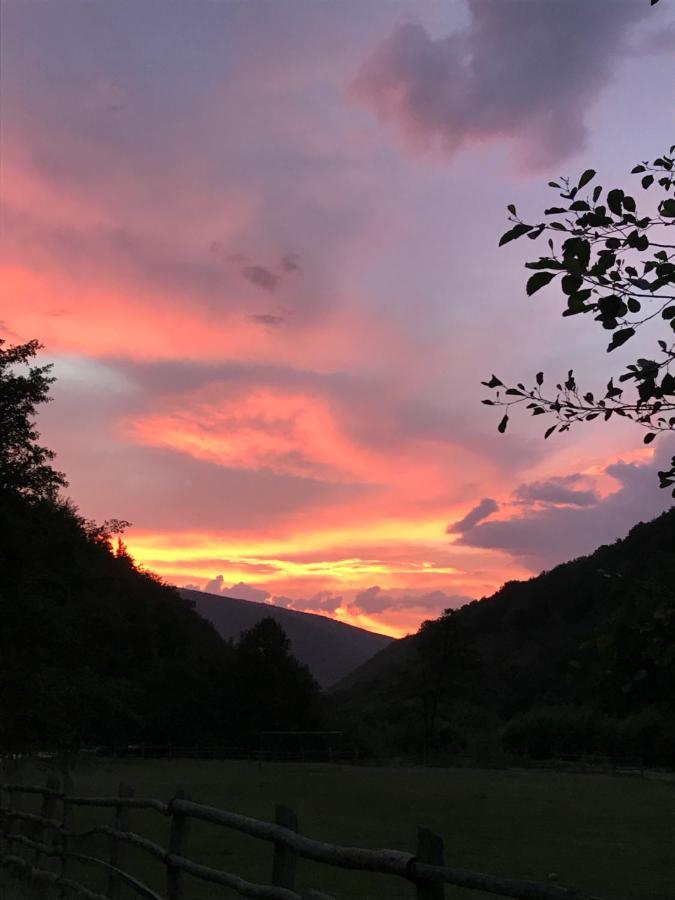 Pensiunea Valea Tonii Strungari Exteriér fotografie