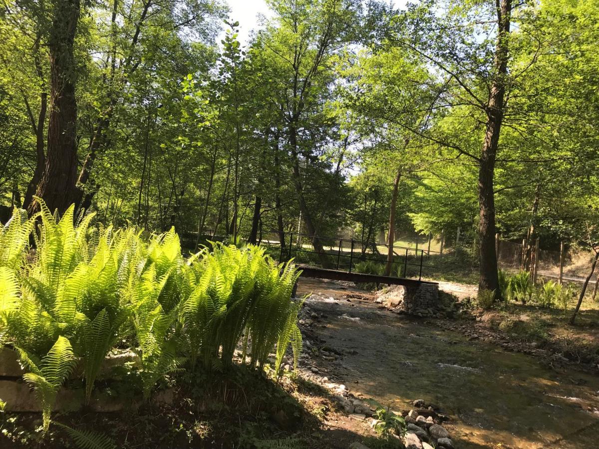 Pensiunea Valea Tonii Strungari Exteriér fotografie