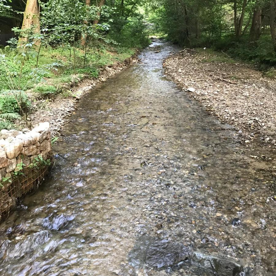 Pensiunea Valea Tonii Strungari Exteriér fotografie