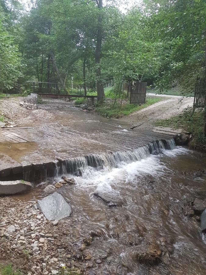 Pensiunea Valea Tonii Strungari Exteriér fotografie